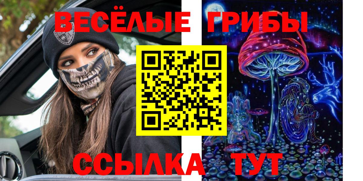 Борисоглебск  Галлюциногенные грибы ЛСД  Вход с VPN 