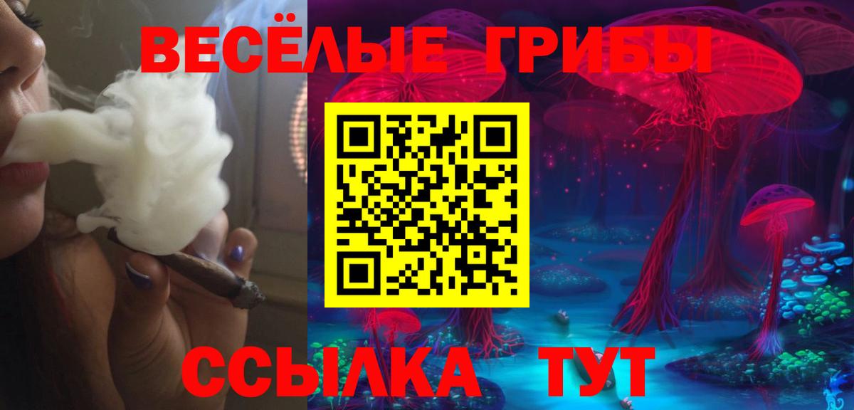 Галлюциногенные грибы Cubensis Борисоглебск