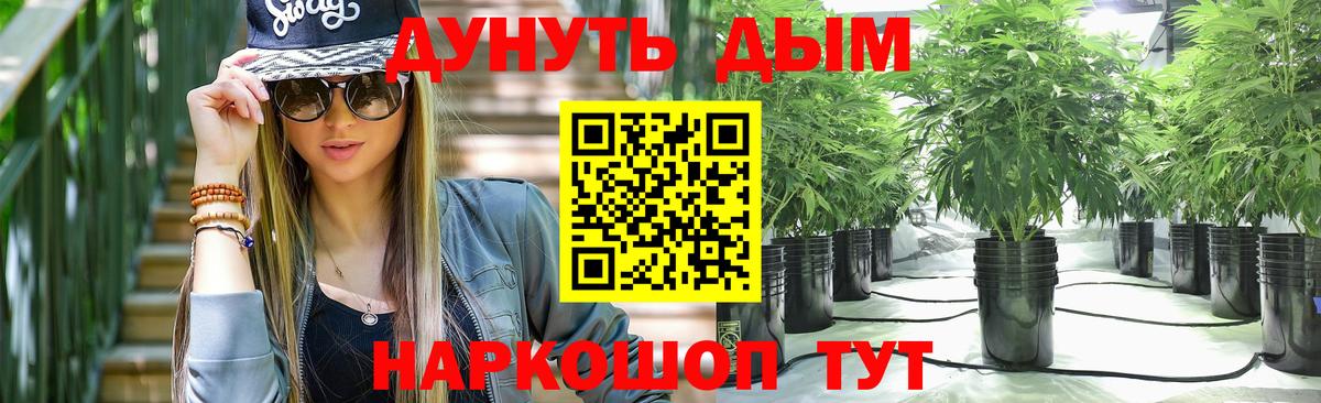 Шишки марихуана план  Вход с VPN  Каннабис LSD WEED  МАРИХУАНА SATIVA & INDICA  Борисоглебск  Бошки Шишки индика 